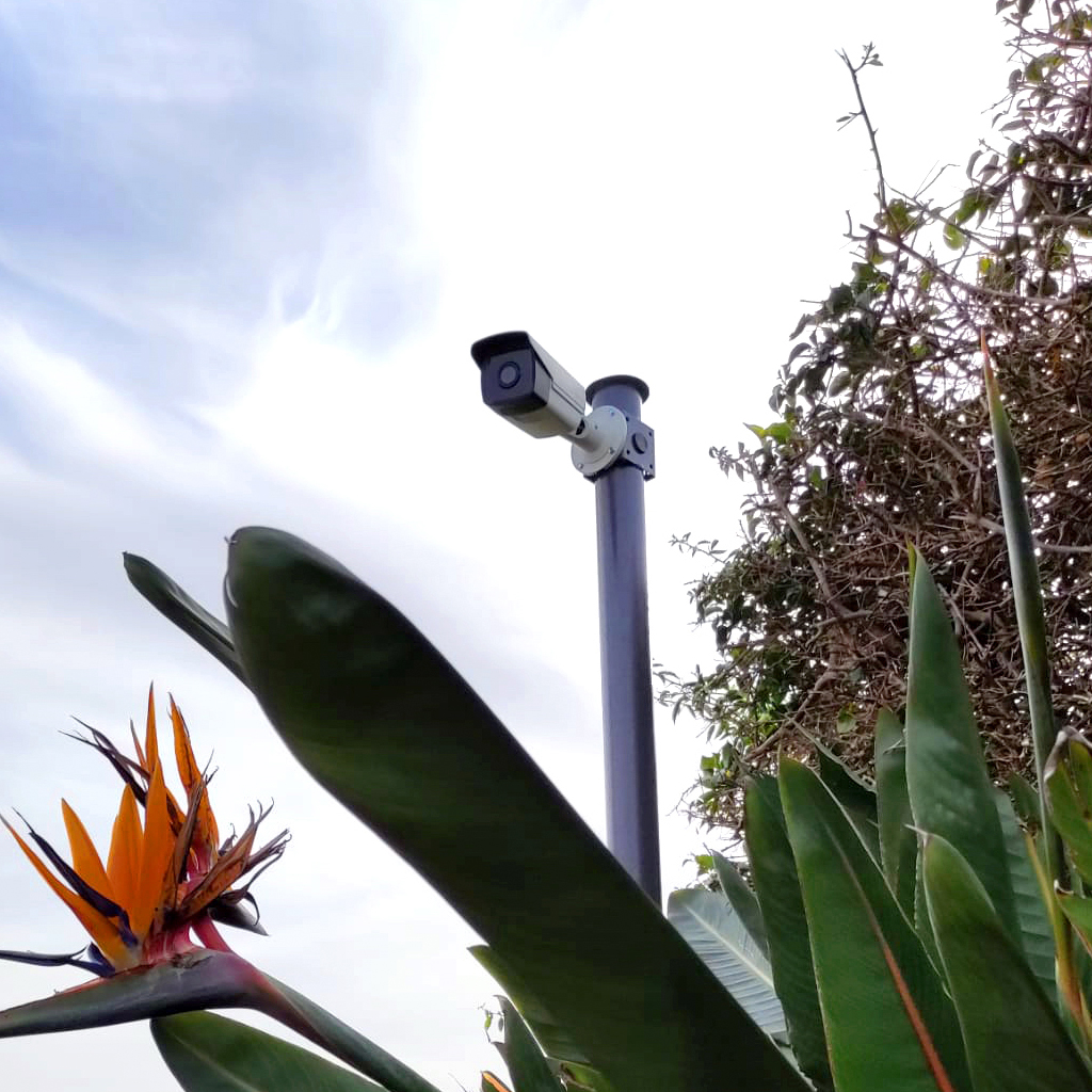Sistemas de videovigilancia - Vissegur