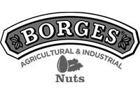Borges - Vissegur